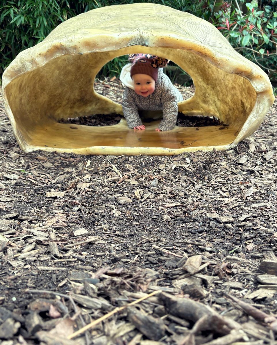 atalbot93's tweet photo. Zoo day! 🫶🏼 https://t.co/L9rXIZsmwL