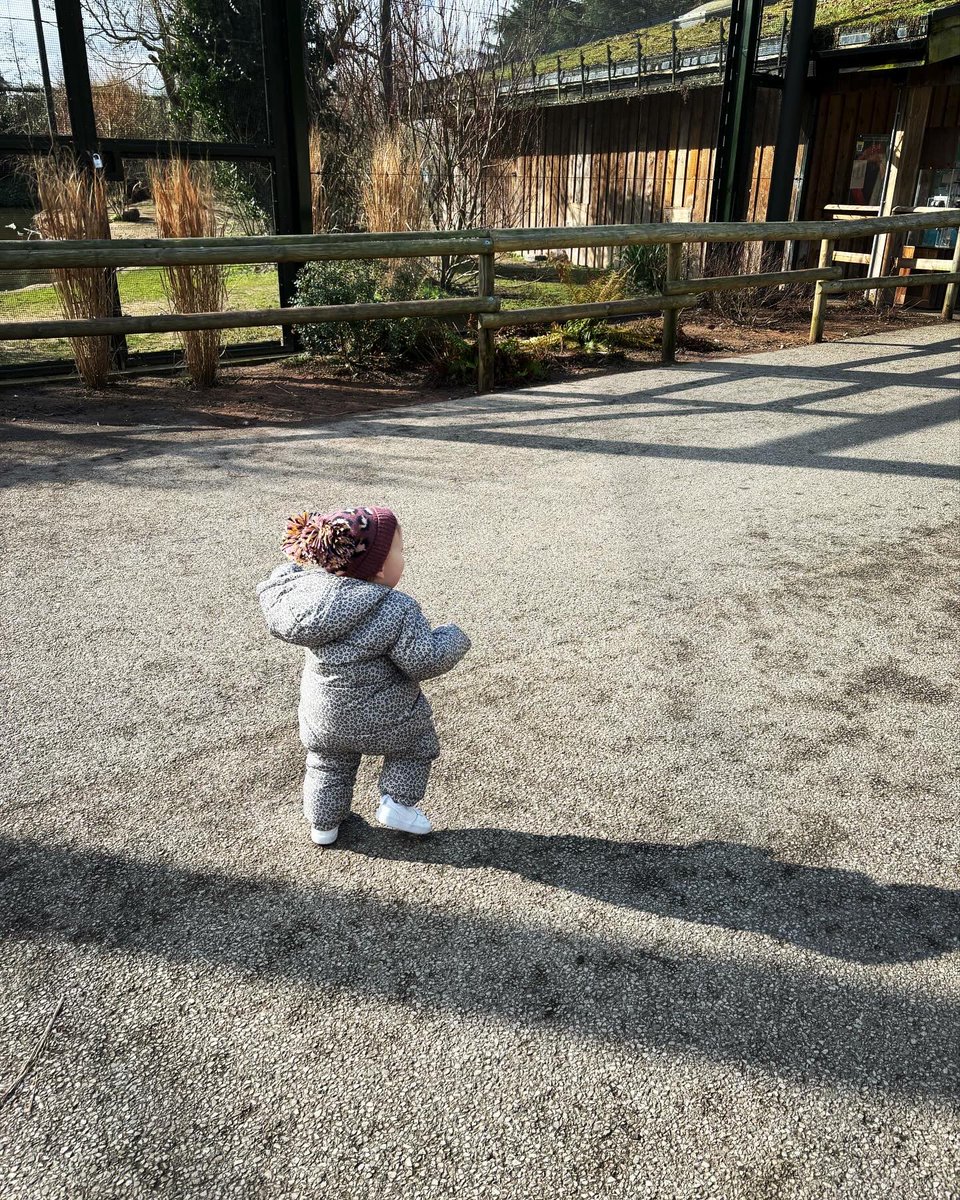 atalbot93's tweet photo. Zoo day! 🫶🏼 https://t.co/L9rXIZsmwL