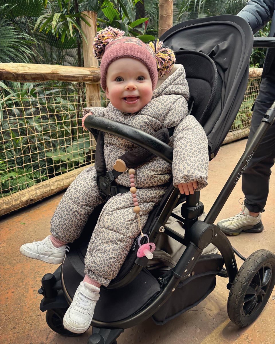atalbot93's tweet photo. Zoo day! 🫶🏼 https://t.co/L9rXIZsmwL