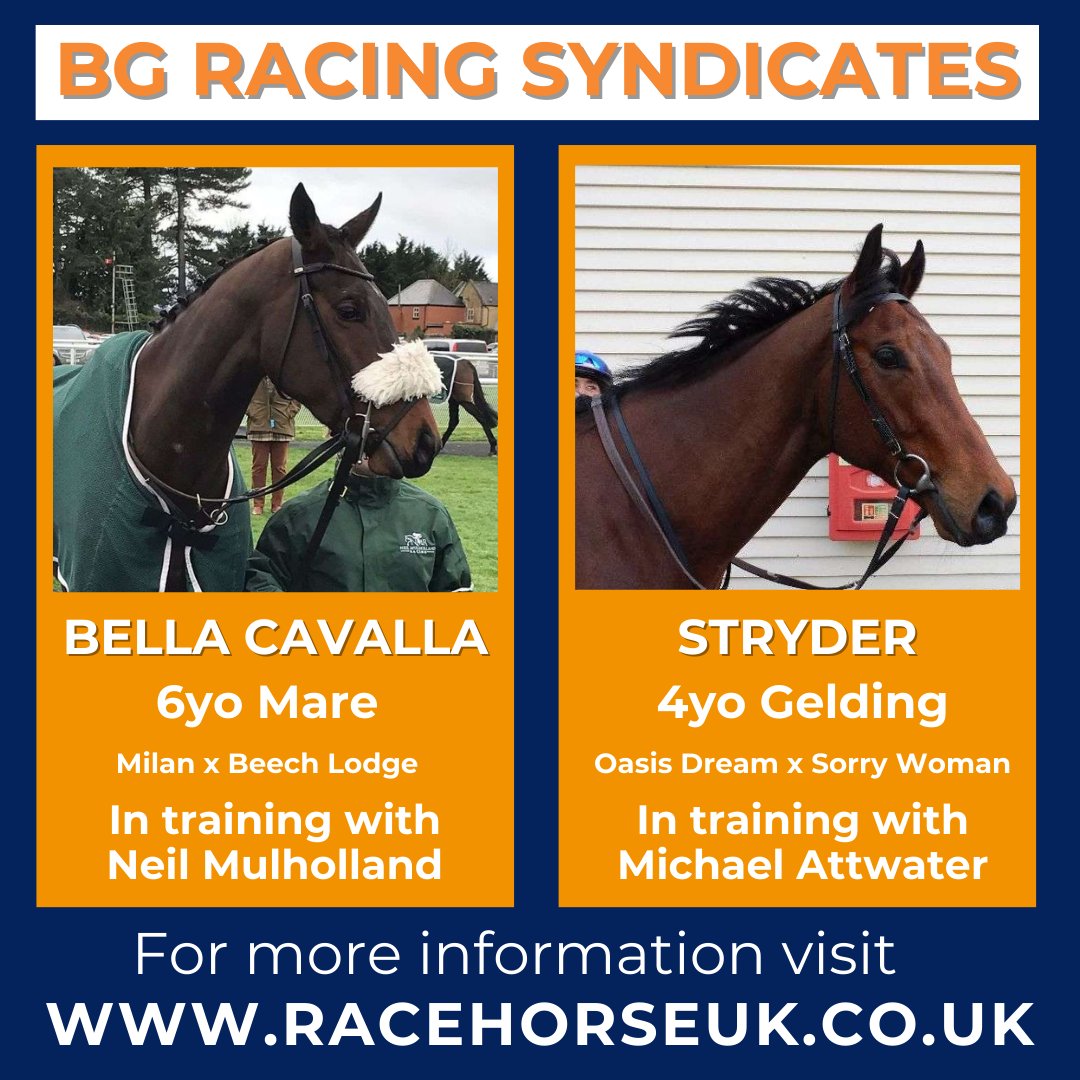 Have you heard? 📢 @bgrsyndicates has two exciting syndicates for the racing enthusiast! 🏇 Click below to find out more 👇 racehorseuk.co.uk/horse-detail/?… racehorseuk.co.uk/horse-detail/?… #racingsyndicate #horseracing #racehorse #dayattheraces