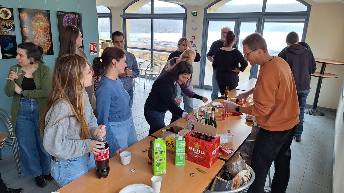 BIOM80075242's tweet photo. BIOM celebrates the acceptance of a new paper by the DEEVA team and the BSBii platform. 🎉 Congratulations to @DARRASSbastien1 @RoureAgnes @ceciileleblond Vladimir Daric and all the authors involved! https://t.co/wuNwuyjqll