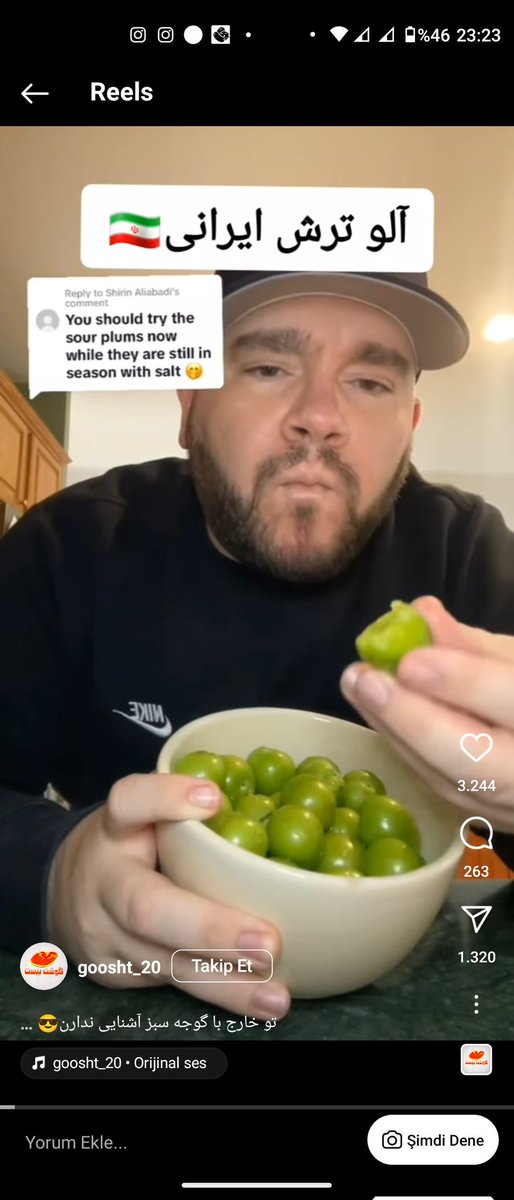 bosluqdayam's tweet image. #alça hər yerdə bitir, mən bilmirdim iranda özəldir, ən azından sərdəri alçasından utanın
Bu fars fasişmi hər nəyi belə oğurlayır.