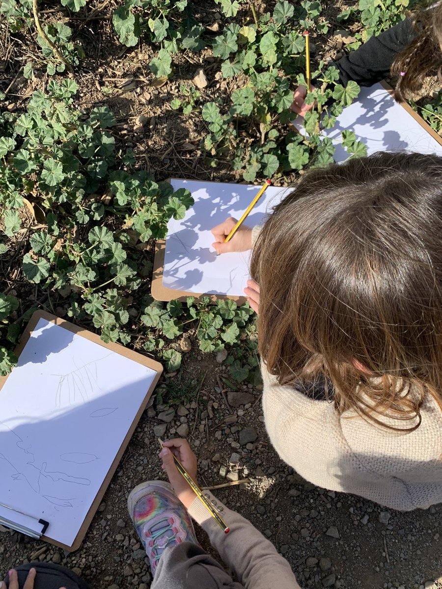 Drawing shadows to naturally learn how the shadows are projected depending of the Sun’s position. Magic moments to share with our 1st graders #escolanatura #walkingcurriculum #outdoorlearning