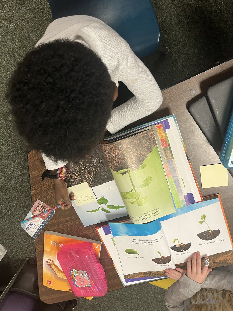 FCPSMurphy's tweet photo. For our Unit 7 concept board, we were able to use our student anthologies to help come up with inquiry questions revolving around our theme Roots and Seeds! We had some really great ideas and I can’t wait to see where our explorations lead! https://t.co/9RqsVpHEf0