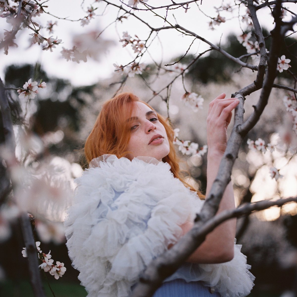 Sergio Moratilla tweet media