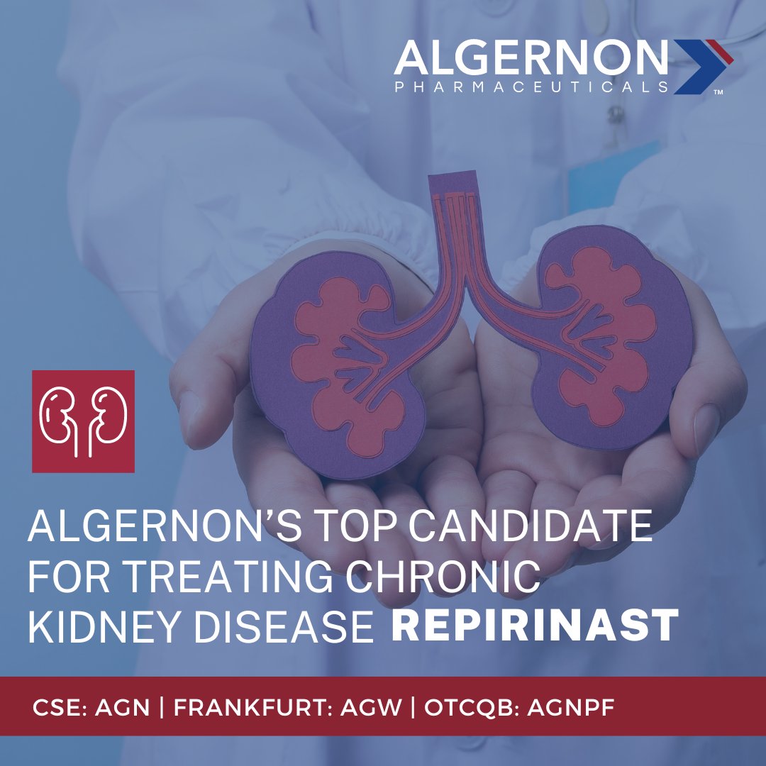 #DrugRepurposingFacts: Repirinast, Algernon’s top candidate for treating Chronic Kidney Disease (CKD), has shown promising results with a 51% reduction in fibrosis and complementary effects alongside telmisartan. 

Learn more here! bit.ly/49uM3Bf