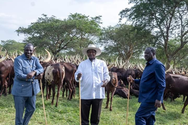 rmukaaga's tweet photo. Presidents @KagutaMuseveni and @WilliamsRuto meet with @RailaOdinga at kisozi - Uganda. Where does this leave the opposition? https://t.co/JpzLTdbEoZ