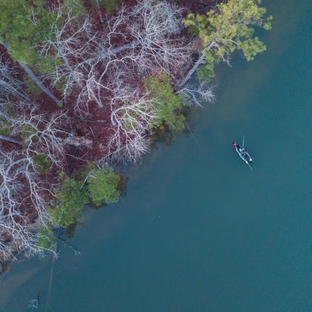 LakeMurrayCtry's tweet photo. A record-breaking 258 kayak anglers from across the nation set out to tame Lake Murray and reel in more than $49K in prize money this past weekend. Jake Coucoules (NJ), took home the $13,400 top prize. https://t.co/rYYBWRLAHa
π· @Bassmaster
#TopFishingDestination #GoFishSC https://t.co/JswGl9eKS6
