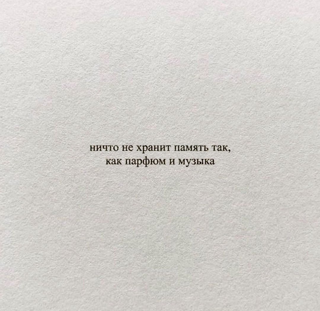 socksdontsuck's tweet photo. Когда я захожу полистать ленту инсты я либо получаю по ебалу либо поглаживание по голове третьего не дано https://t.co/7YcWweVyDr