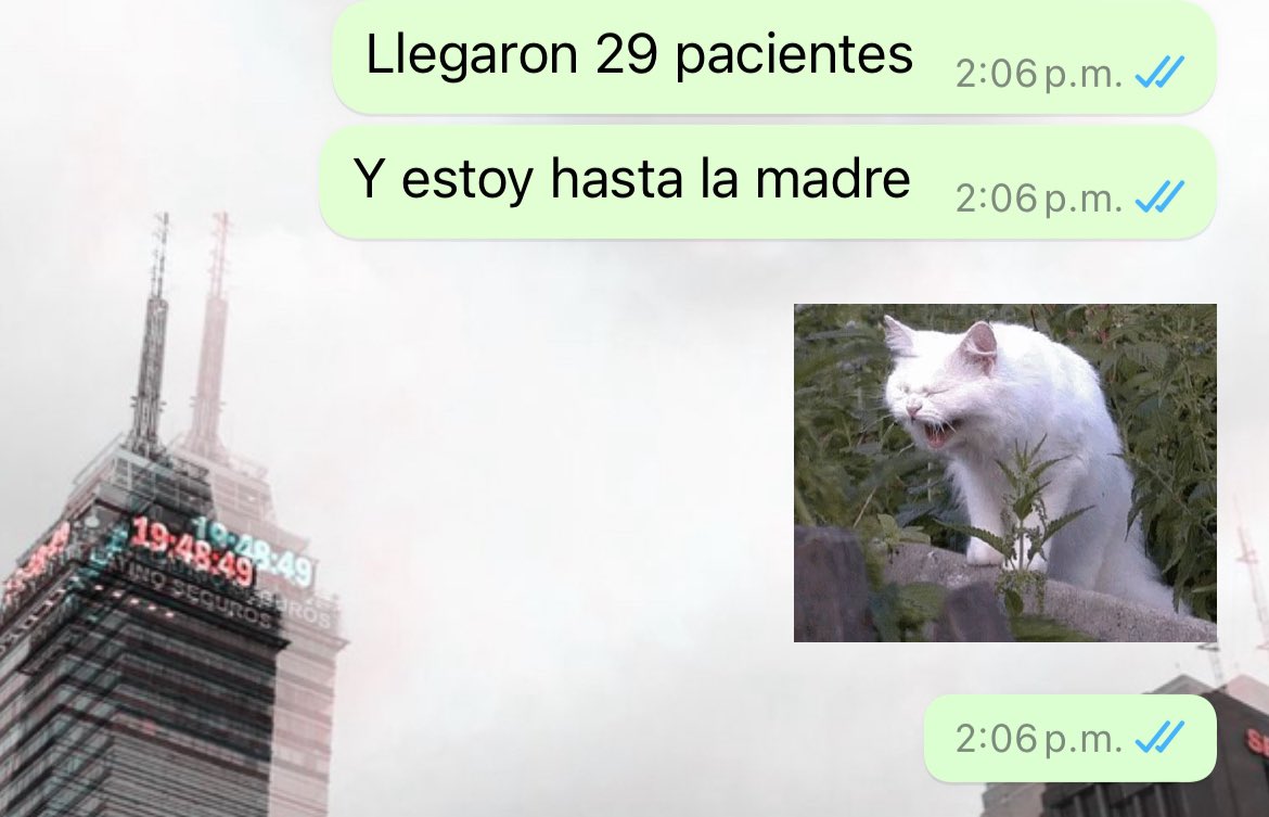 Investigación clínica ☠️☠️☠️