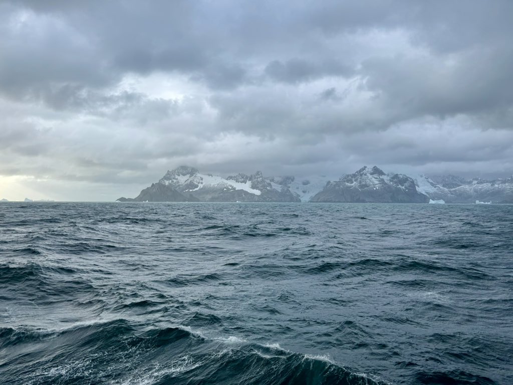 Mark Brandon tweet media