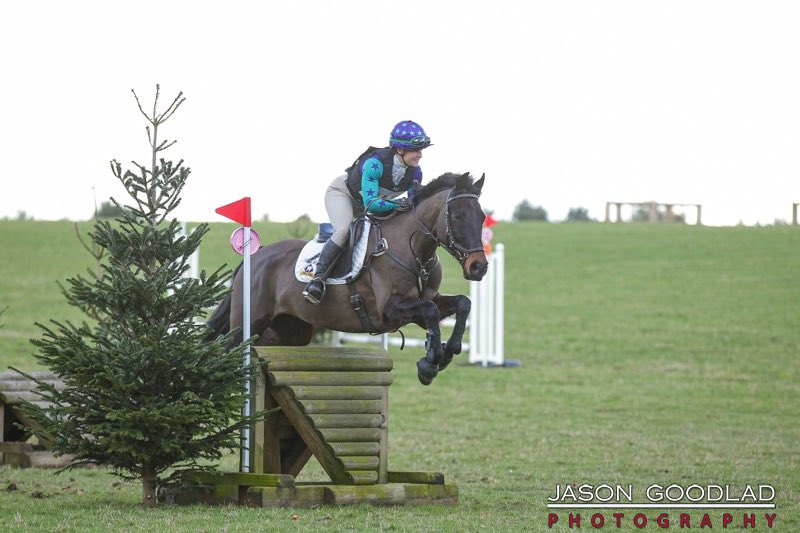 wardlee__'s tweet photo. A few snaps from our training competitions over the last few weeks. The eventing season is coming 🥳 

@BlueChipFeed #fedonbluechip https://t.co/VXNztXIwXZ