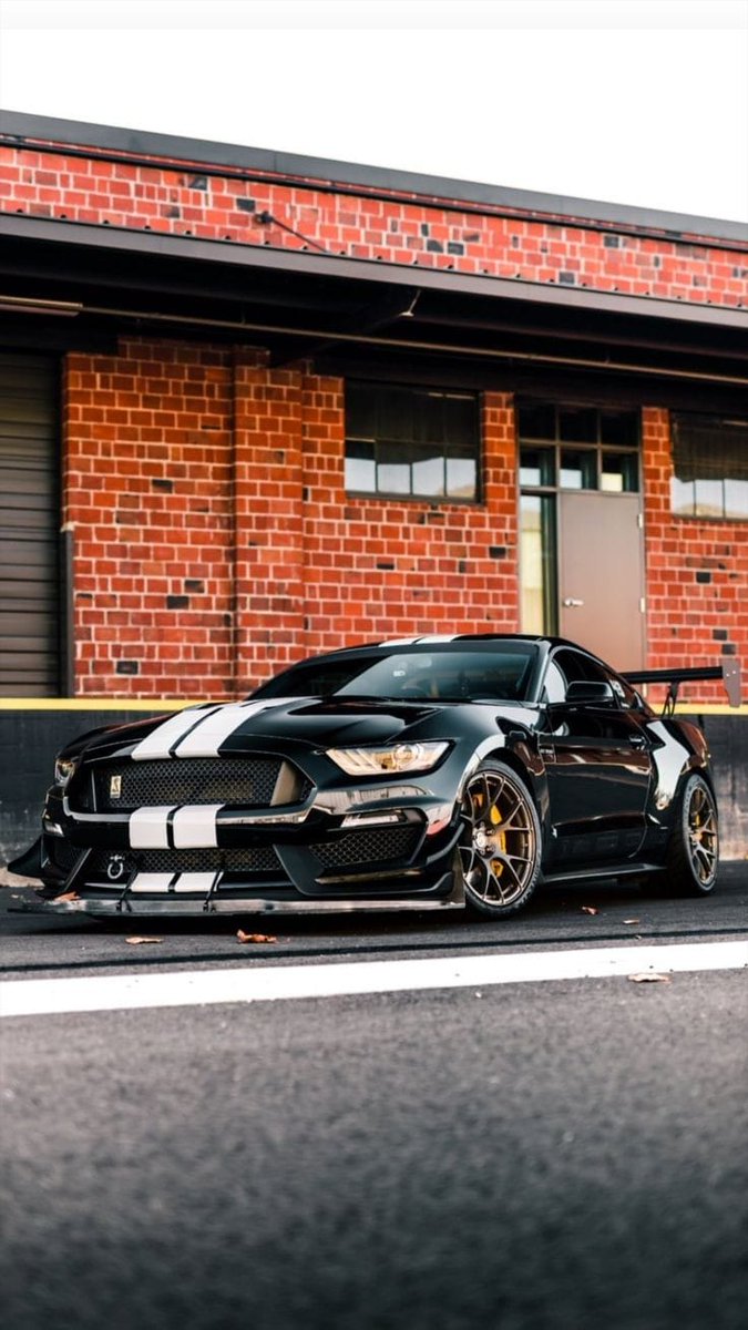 Shelby GT350