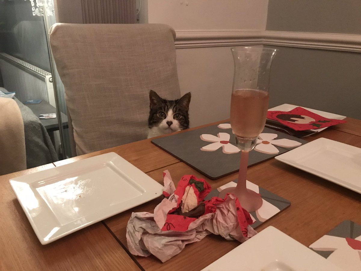 ‘Where’s mine?’

A face at the dinner table… 

#cats #CatsOfTwitter #CatsOfTheDay
