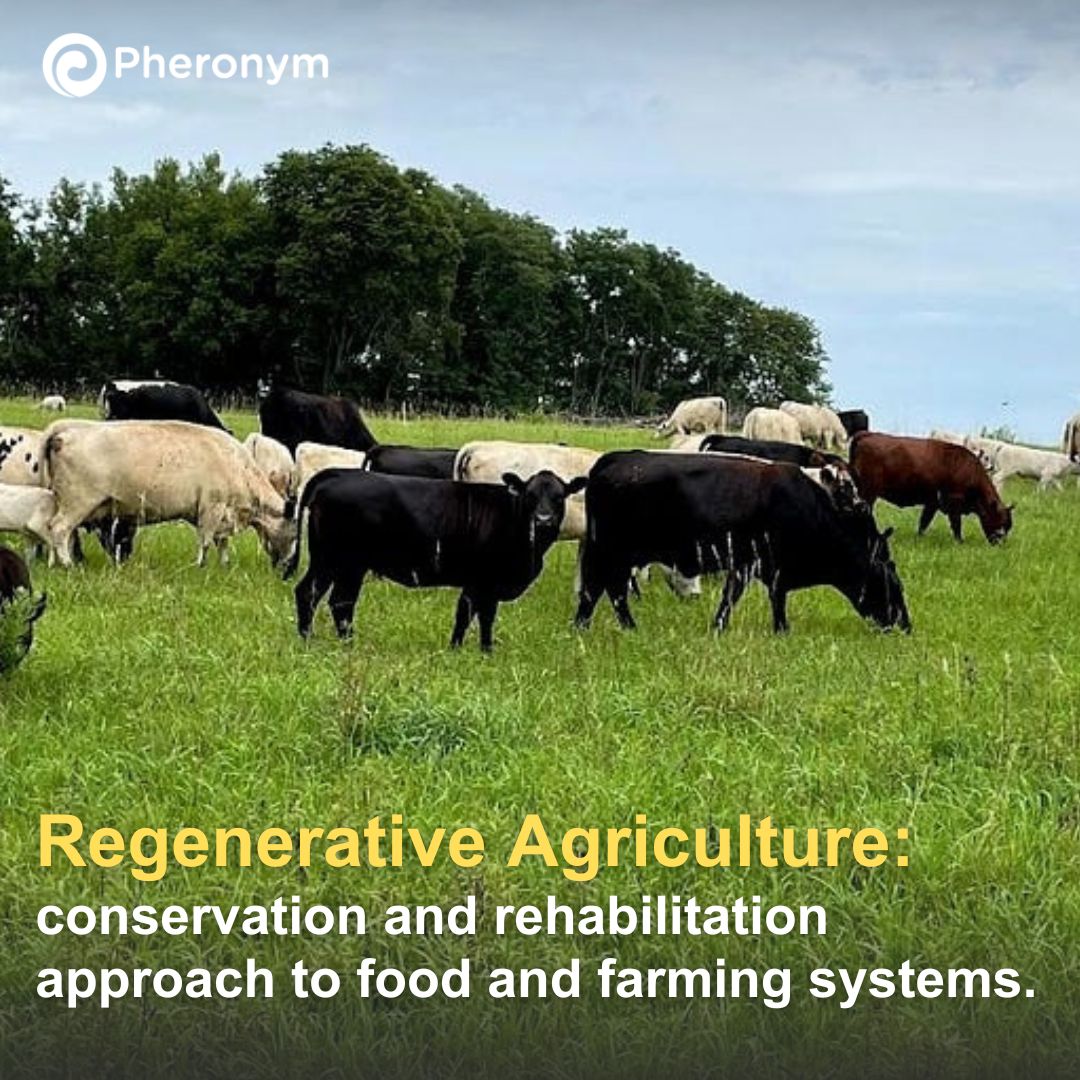🌱 Here are four regenerative agriculture practices that really stood out for us at the Bottens Family Farm: ow.ly/ktlV50QI07C

#regenerativeag #regenerativeagriculture #biodiversity #climatechange