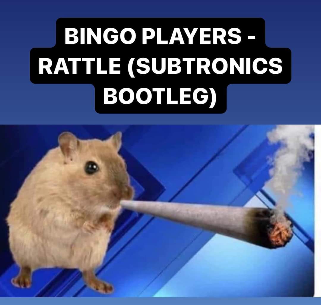 rickyspanish231's tweet image. FINALLYYY

@Subtronics @Cyclops_Recs #cyclopsarmy