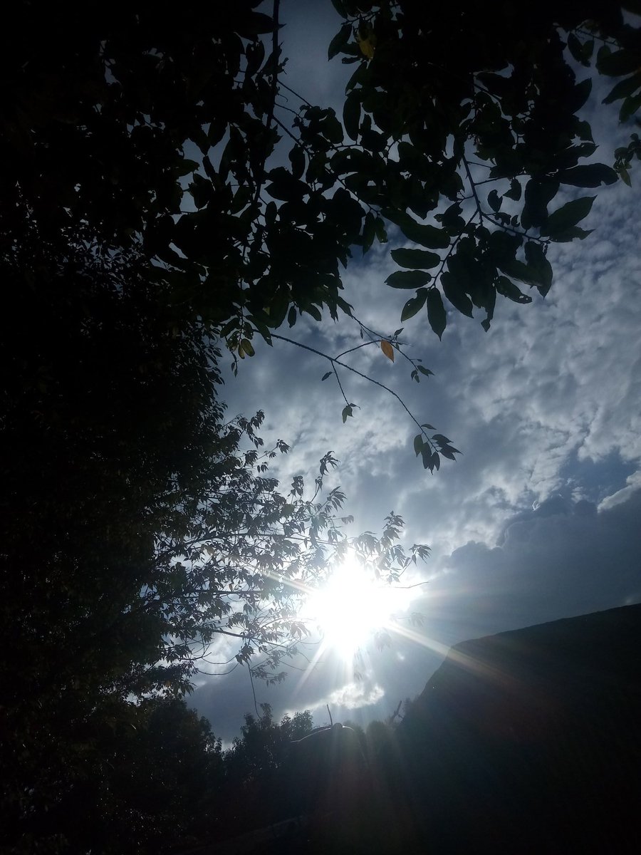 Not only so,ya should rejoice in sufferings because suffering produced endurance, and endurance produce character and character produced hope while hope shall never put us on shame.