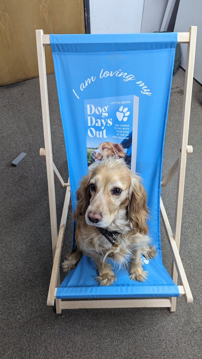 Lottie Gross tweet media