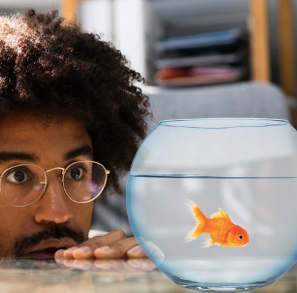 Oklahoma Department of Wildlife Conservation tweet media