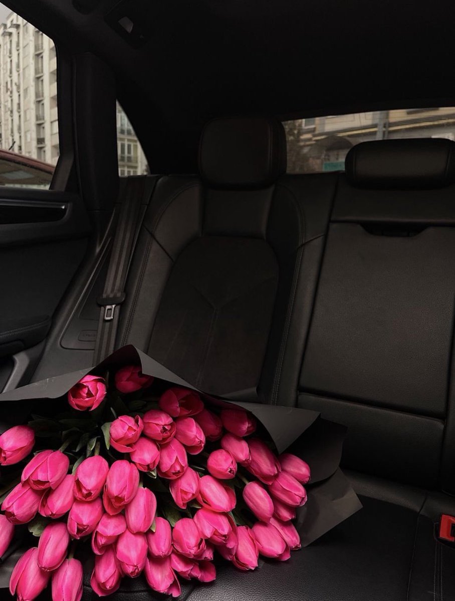 Tulips 💗