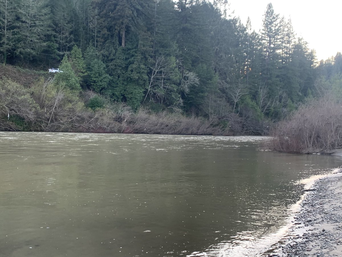 Sonoma Sheriff tweet media