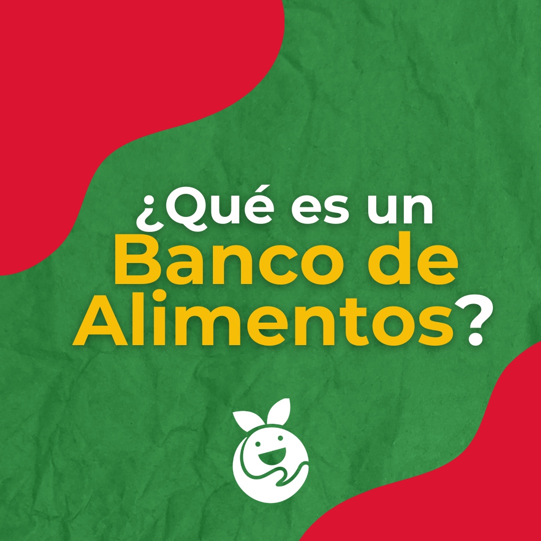 Caritasdenld's tweet photo. La Red BAMX está compuesta por 57 Bancos de Alimentos en toda la república mexicana. Trabajamos día a día para llevar sonrisas a millones de mexicanos y evitar el desperdicio de alimentos.
¡Juntos podemos hacer la diferencia! 🌎🍲 ¡Únete a https://t.co/G0vs6JUx2z! #HambreCero https://t.co/Jk32yQQN0z