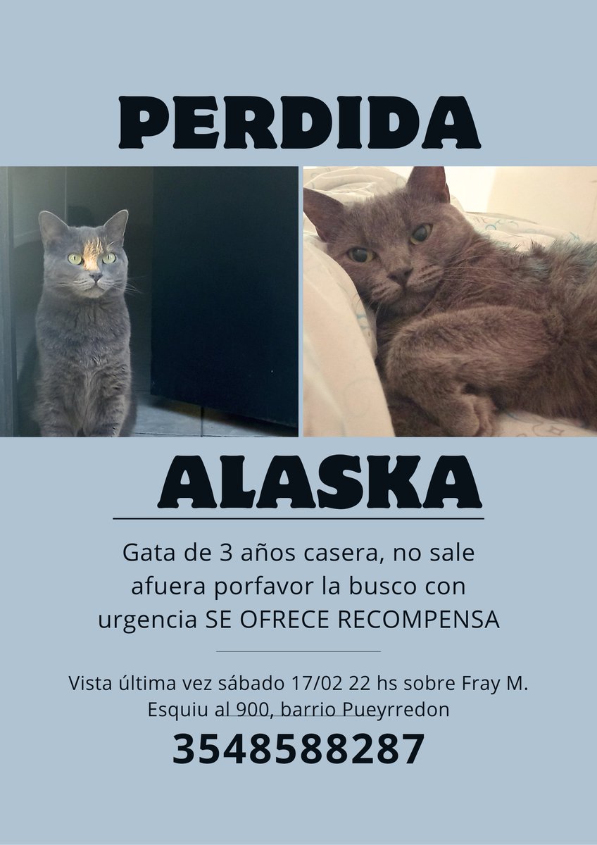 MartuEtchandy's tweet photo. @VivireNuevaCor porfavor ayúdenme a compartir la extraño muchísimo 😔❤️ https://t.co/FXxC1w3L7J