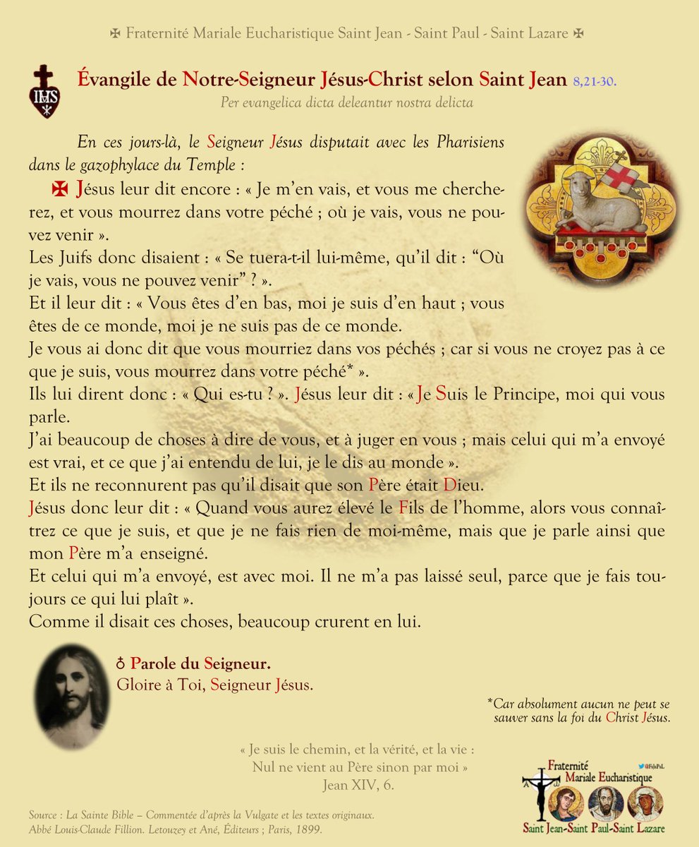 ⚜ Renaissance Française tweet media