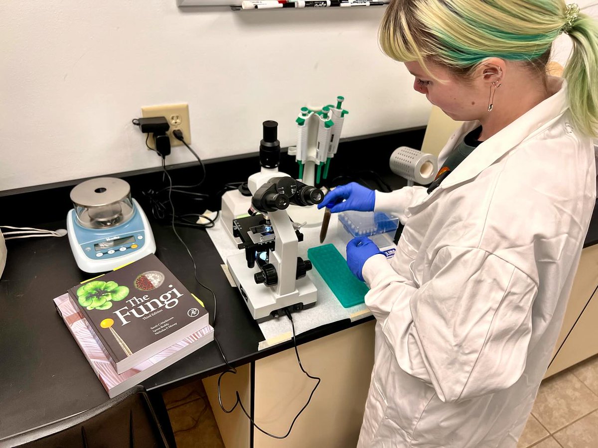 ColoMtnCollege's tweet photo. #CMCLeadville student Shelby Seitzinger is interning with PACT Outdoors, studying how fungal mycelium tackles E. coli. This research could enhance PACT Tabs and lead to new applications like water filters. #ColoradoMountainCollege #Internship #EcosystemScience #CollegeInternship https://t.co/qeOSYC69ds