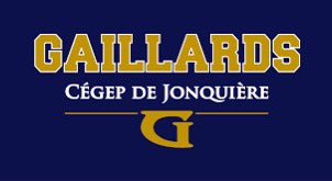jules_QB9's tweet photo. After a great conversation with @coachphileduc , I’m honoured to receive my second offer from the #GAILLARDS from @CegepJonquiere
@_coachturner @lamontewinston @NFLAcademy @georgereynolds_ @QB_precision @kallingplays https://t.co/cB981U4y8S