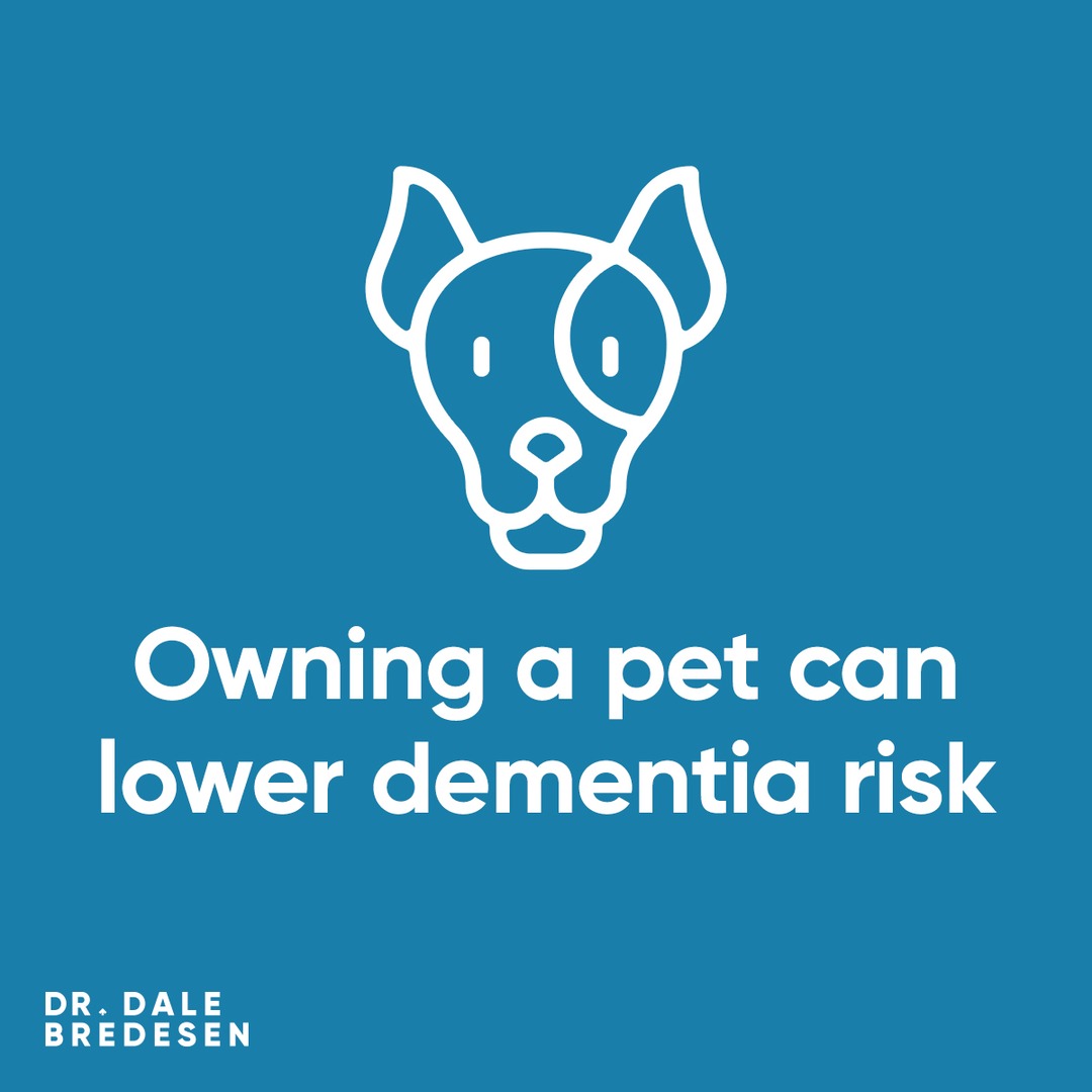 Pet owners, rejoice! New research shows that owning a pet can decrease your risk of developing dementia if you live alone (with thanks to our late dog, Cooper). people.com/owning-a-pet-m…