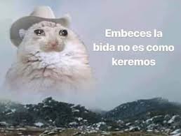 TU_PM23's tweet photo. @CarlosGonzlez42 https://t.co/VK1pDR24zH