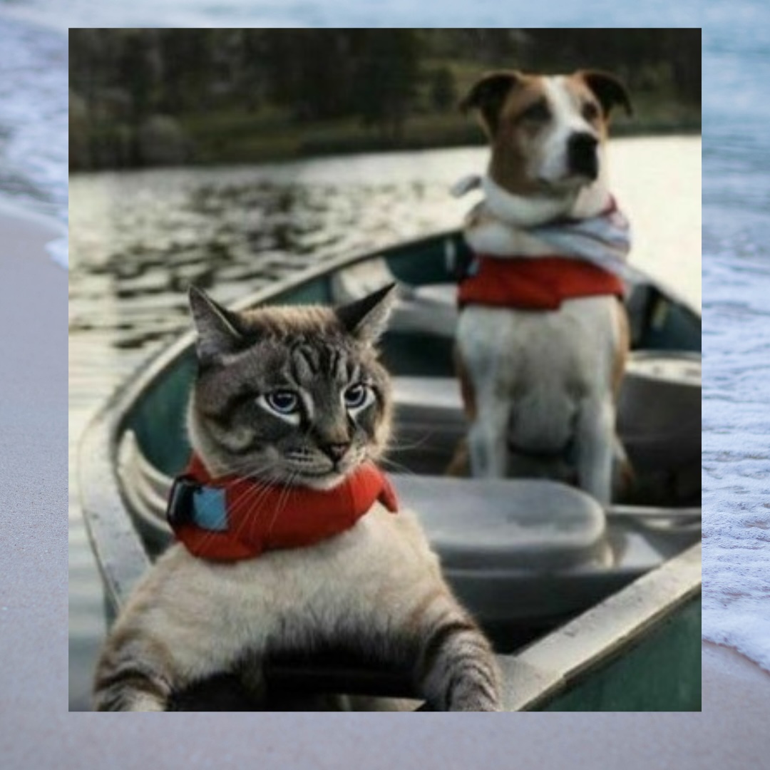 “Life is an adventure, so go out there and explore!” – Unknown