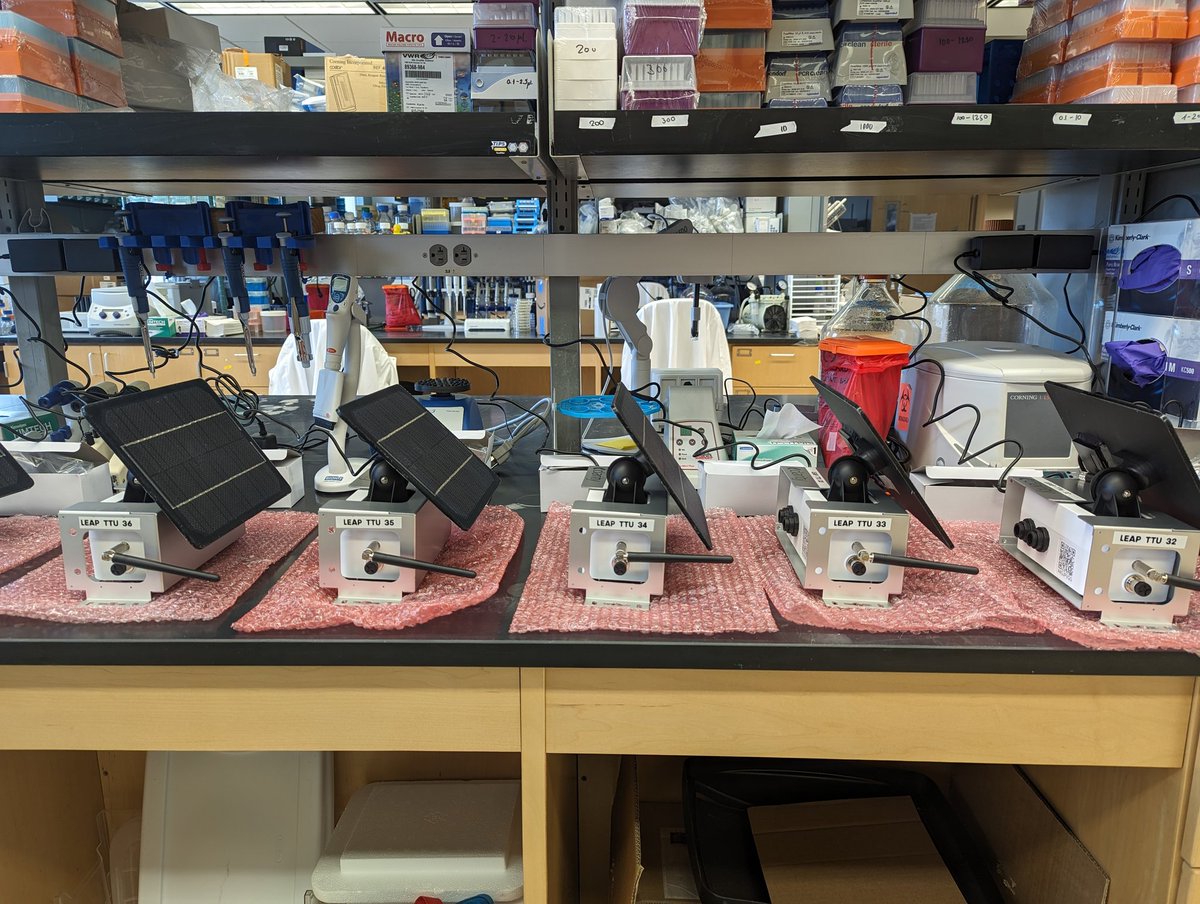 Karin Ardon-Dryer tweet media