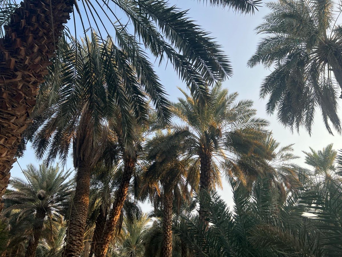 Rabb'imiz Allah'tır." deyip, dosdoğru olanlara gelince, onlara melekler gelerek: "Korkmayın ve üzülmeyin. Söz verildiğiniz Cennet'le sevinin!" derler. ( Fussilet 30 )