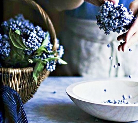 Unbeelievable's tweet image. Fascinating podcast episode on the antiviral, antibiotic &amp;amp; immune system supporting properties of propolis &amp;amp; elderberry &amp;amp; why sugar wrecks immunity.

@Buzzabouthealth 
podcasts.apple.com/gb/podcast/cre… #HealthTips #ukbloggers #nutrition #Wellness