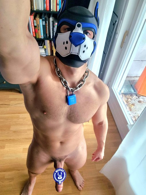 Marking my territory with some stickers at @DarklandsFest 😈 Bark at me if you want one ❤️ https://t.<a class="tags" href="/tag/darklandsfest">@darklandsfest</a><a href="/tag/snaxberlin"class="tags"><span>#snaxberlin</span></a>