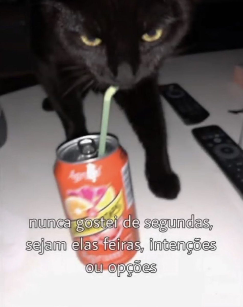 shitpostverdade's tweet photo. https://t.co/GHKFUWncvC