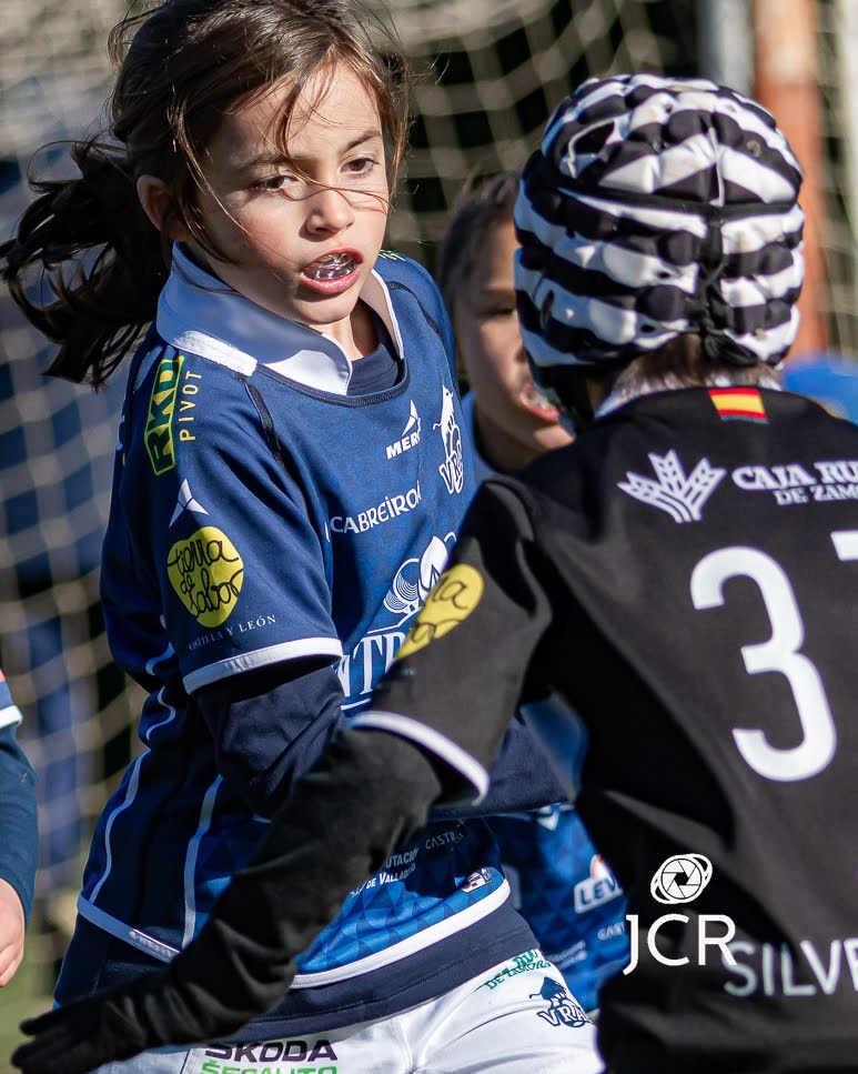 JCRfotorugby's tweet photo. #rugby #cantera
🖥️ Reporte Concentración de Escuelas @FRCyL 
Enlace 👇👇👇👇
https://t.co/ZDFSJsd4YV
Organizado @PalenciaRC
📸 @JCRfotorugby https://t.co/MiDEvKncxT