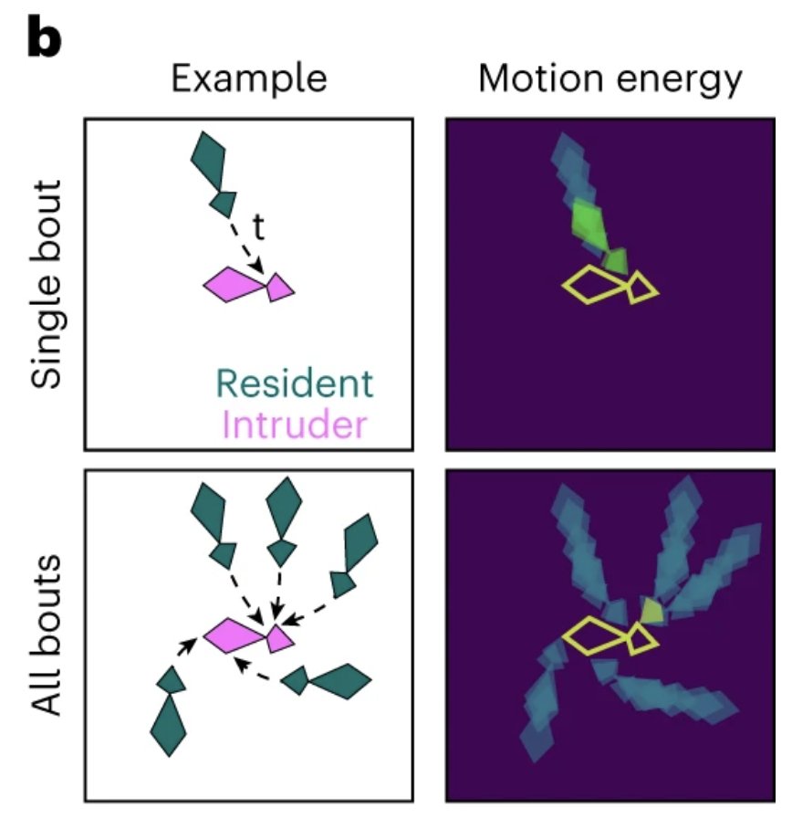 Nature Methods (@naturemethods) on Twitter photo A-SOiD from the <a href="/YttriLab/">The Yttri Lab</a> is a computational platform for behavioral annotation. Its training includes elements of supervised and unsupervised learning. The approach is demonstrated on mouse, macaque and human data. @JensBlack3 <a href="/runninghsu/">Alex 徐瀚</a> <a href="/SNeuroconnect/">SchwarzNeuroconnect</a>
nature.com/articles/s4159… A-SOiD from the <a href="/YttriLab/">The Yttri Lab</a> is a computational platform for behavioral annotation. Its training includes elements of supervised and unsupervised learning. The approach is demonstrated on mouse, macaque and human data. @JensBlack3 <a href="/runninghsu/">Alex 徐瀚</a> <a href="/SNeuroconnect/">SchwarzNeuroconnect</a>
nature.com/articles/s4159…