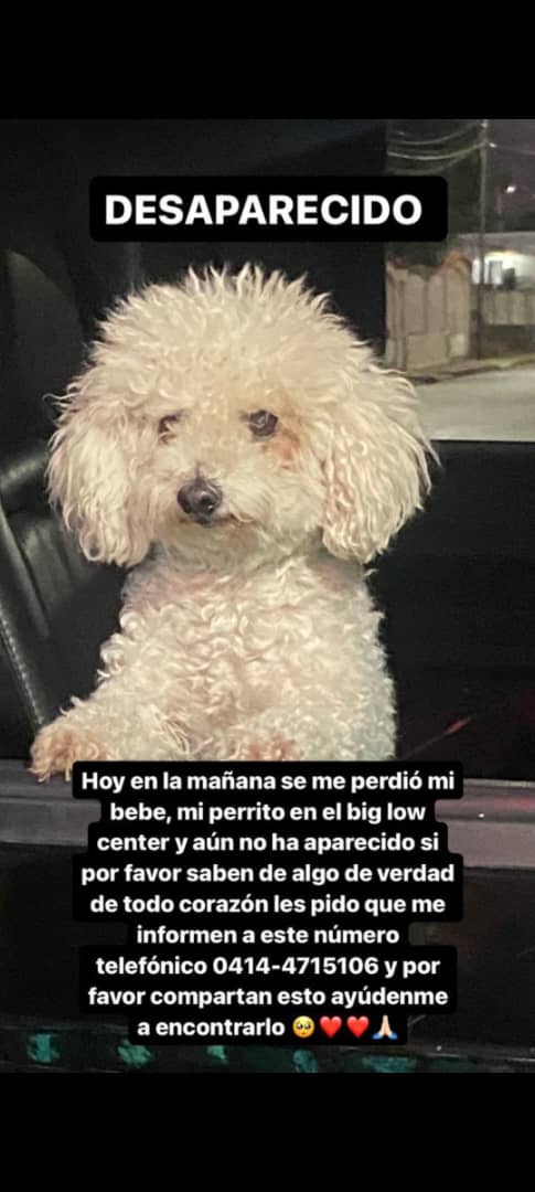 yaracalcagno's tweet photo. Atención. Big Low Center y sus alrededores. https://t.co/H7CQy4MWJg