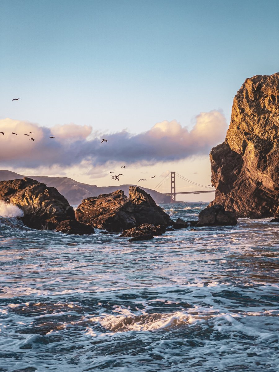 Sebastiaan de With tweet media