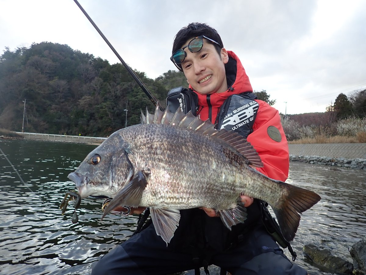 SHINGOTHREE's tweet photo. 約一週間降り続いた雨と寒さで、活性低いと思ってたけど、バイトは前回より多い！けど、スッポ抜けも多かった…1エリアで1.2バイトをランガンで拾っていく感じでした！
そんな山陰チニング！！
#Megabass#BOTTLESHRIMPSW https://t.co/B3bWtwuMJE
