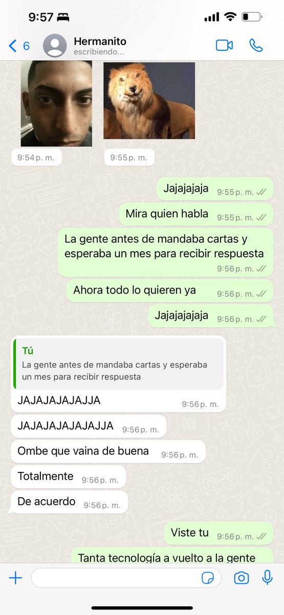 MaXimenaAV's tweet photo. Como justifico contestar los mensajes cada 2 días : la gente antes se mandaba cartas y esperaba un mes para recibir respuesta. 😂😂😂😂😂😂 y ahora no pueden esperar ni un día https://t.co/Cz1liZqeCV
