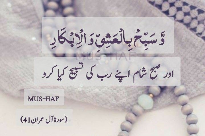 Assalam o alaikum
     &amp; &amp;
GOOD morning
<a href="/AsadAbbas776196/">Asad abbas</a>
<a href="/KafaitK88095/">Kafait Khan</a>
@Malik45279
<a href="/Armilakhan/">Armila khan</a>
@Sania8938687257
@arham694
@Sania8938687257
@2az1ra