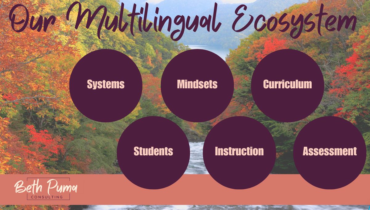 International school leaders what's your role in nurturing a #multilingualecosystem for our #mlls?

Beyond food and flag day.
Beyond protecting the status quo of antiquated frameworks.
Beyond thinking you know what’s best and dismantling well established collaborative programs.
