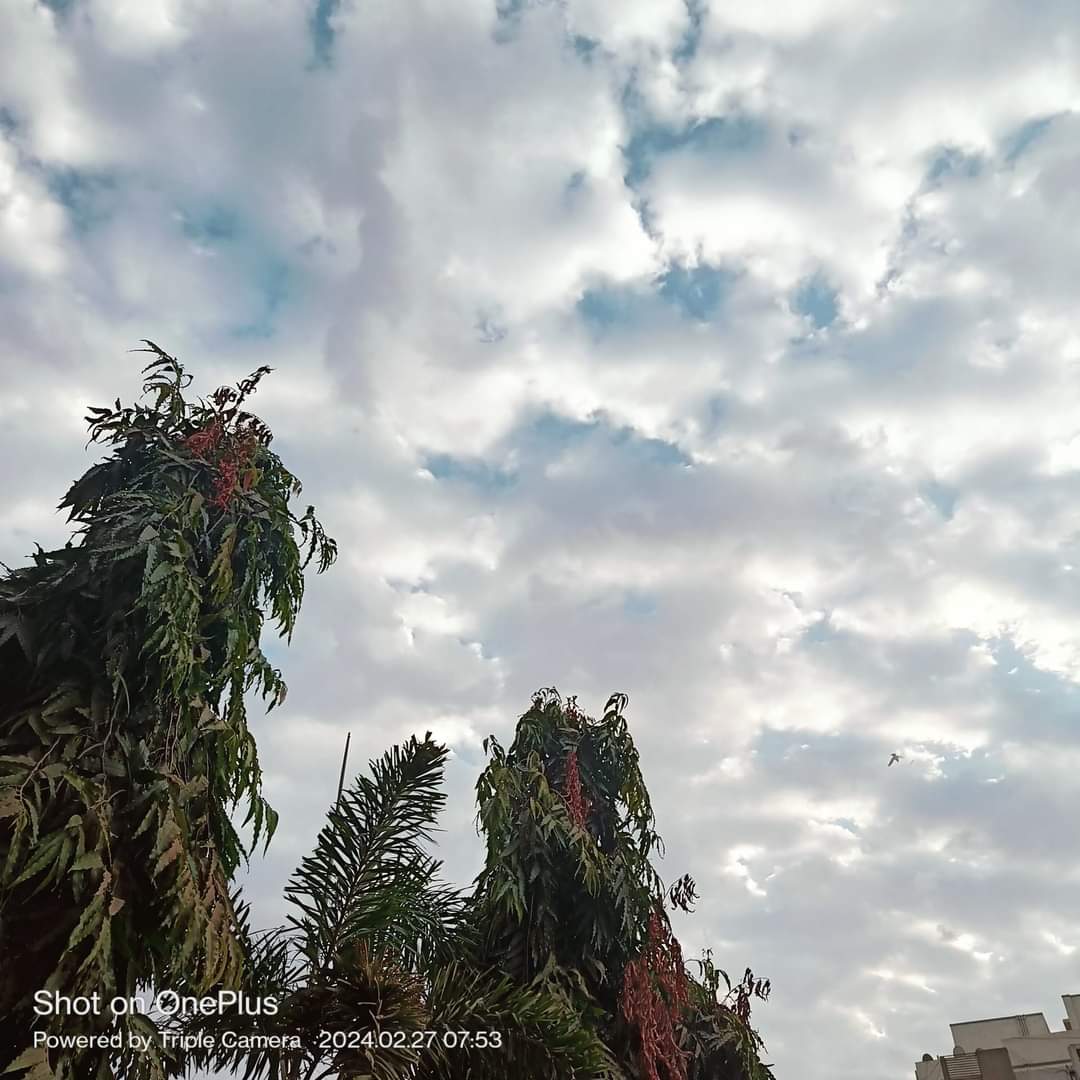 mai_Yadav_hu's tweet image. Beautiful Sky in Morning 
#GoodVibes
#goodmorning
#bestview
#bestphotochallengeToday