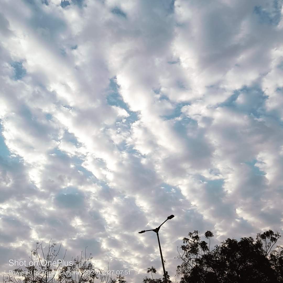 mai_Yadav_hu's tweet image. Beautiful Sky in Morning 
#GoodVibes
#goodmorning
#bestview
#bestphotochallengeToday