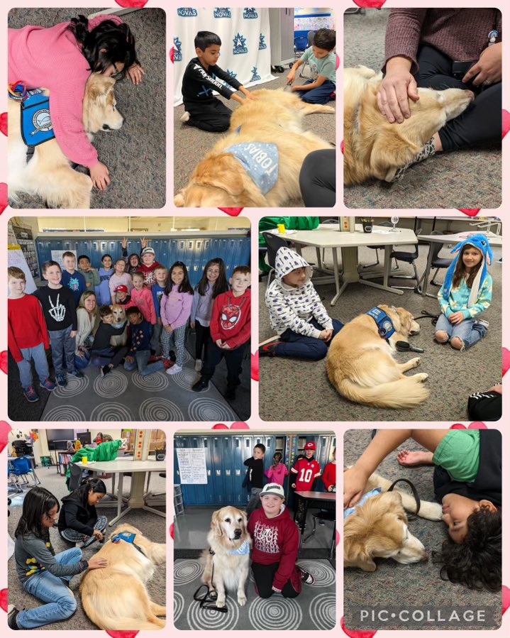 Avon Center School tweet media