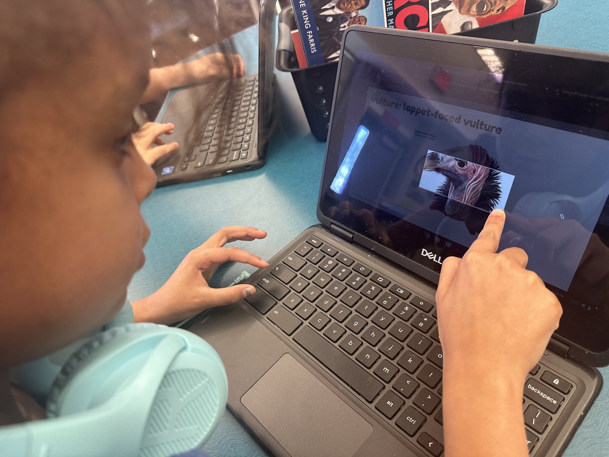 Erin Wallace tweet media